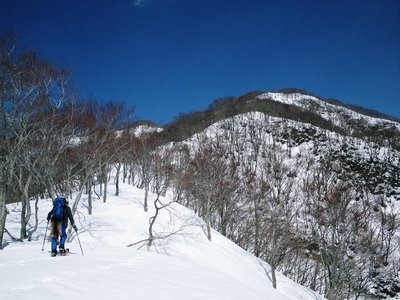 横山岳