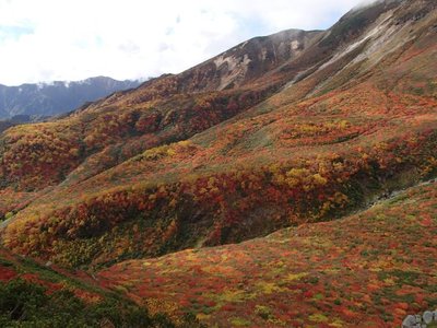 PA060797_640.jpg (72.04 KiB) 閲覧された回数 5737 回 眼下にはこんな景色が一望のもとに。