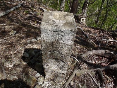 シャッポ山の図根点
