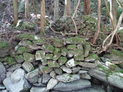 植林小屋の石垣