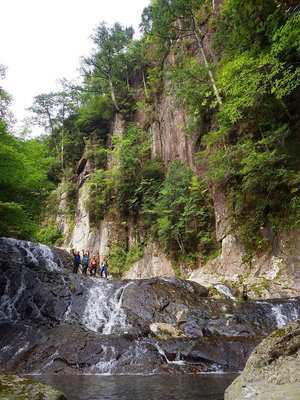一気に景観が変わりました