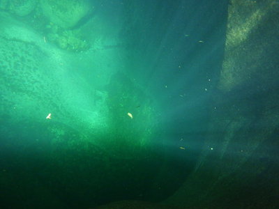 わりばしの壺？と命名しましょう