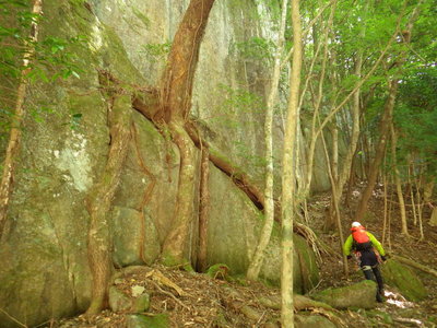 この垂直岩壁カッコよかったです。
