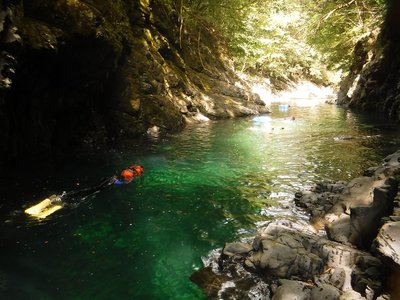 20170826-30.jpg (162.42 KiB) 閲覧された回数 10943 回 気分はジャングルクルーズ(行ったことないけど)