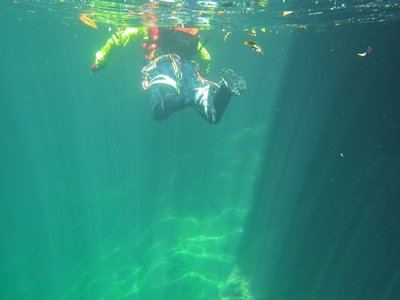 RIMG0673.JPG (99.39 KiB) 閲覧された回数 10944 回 沢装備で泳ぐシュークリームさん。かなり慣れてましたね