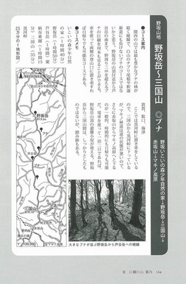 野坂岳～三国山（ブナ）案内