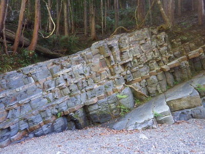 牟婁層群なのかな？