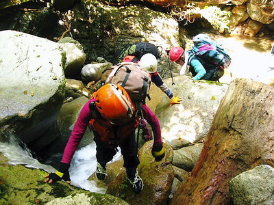 最初チョロチョロ.JPG (176.68 KiB) 閲覧された回数 8470 回 ● 最初チョロちゅろ、水中涼しい