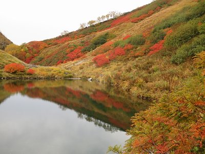 奥又白池の紅葉2012　背景の南アなし