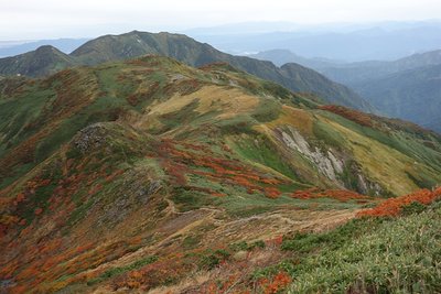 正面が目指す杁差岳　左手に鉾立山　左端に頼母木小屋