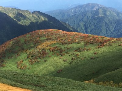 IMG_2020.jpg (246.17 KiB) 閲覧された回数 3362 回 紅葉 その2