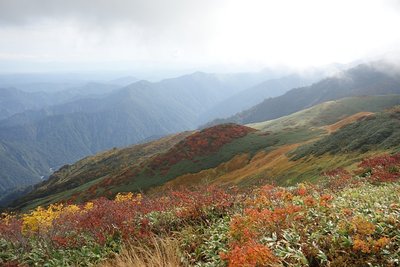 DSC04096.jpg (204.02 KiB) 閲覧された回数 3358 回 紅葉 その3