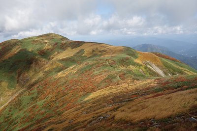 DSC04102.jpg (212.91 KiB) 閲覧された回数 3358 回 紅葉 その4