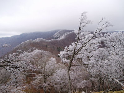 11月下旬の千石山付近