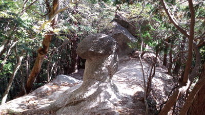 一の谷新道の「松茸岩」<br />1年前は「ﾏﾂﾀｹ岩」だったのが、漢字になってた
