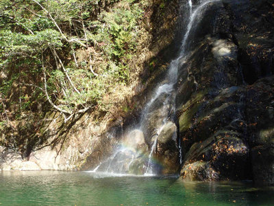 PB110208.jpg (111.83 KiB) 閲覧された回数 7922 回 比丘尼滝と虹