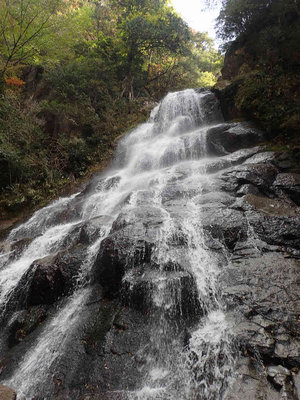 PB110151.jpg (106.25 KiB) 閲覧された回数 7922 回 ケヤキ原滝