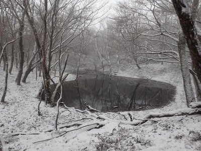 雪化粧の仙香池