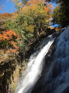 2017-11-12 11.24.53.jpg