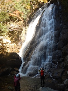 2017-11-12 11.23.17.jpg