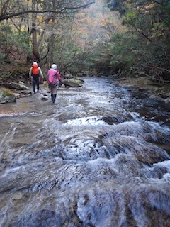 2017-11-12 13.35.25.jpg