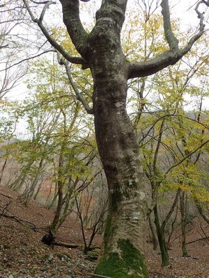 人が立っているよう