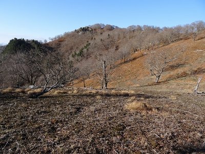 DSC08464.jpg (166.66 KiB) 閲覧された回数 5033 回 桧塚奥峰