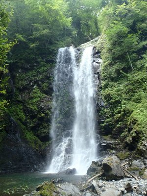 q8110028_640.jpg (134.92 KiB) 閲覧された回数 7378 回 五段の滝・最下段