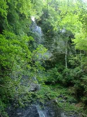 q8110039_800.jpg (256.76 KiB) 閲覧された回数 7378 回 喜平小屋谷大滝(右岸嵓上から)