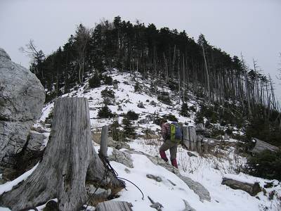 前茶臼～奥茶臼