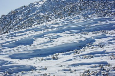 resizeIMGP9351.jpg (228.75 KiB) 閲覧された回数 6289 回 風雪紋(シュカブラ)