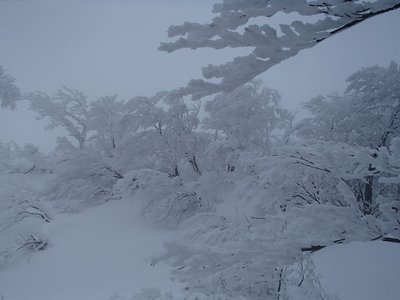 s-PC169246.jpg (59.98 KiB) 閲覧された回数 3407 回 烈風吹きすさぶ「氷の世界」