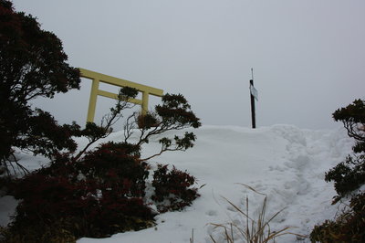 直下から眺める入道ヶ岳山頂