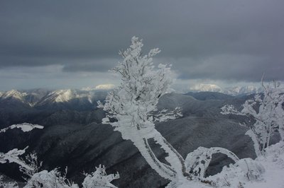 resizeIMGP9663.jpg (143.2 KiB) 閲覧された回数 5371 回 鈴鹿北部も真っ白。