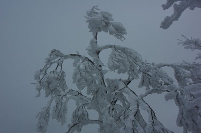 冬道も凄いことに。