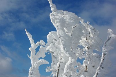 resizeIMGP9723.jpg (140.91 KiB) 閲覧された回数 5371 回 僅かだったけど青空と霧氷。