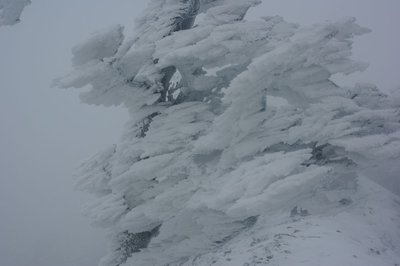 resizeIMGP9823.jpg (109.87 KiB) 閲覧された回数 6514 回 今日も豪快な霧氷、青空バックでないのが惜しい。