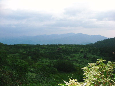 ● 朝は好いお天気だったのに、昼から日も差してきた、山頂はダメだろうけど