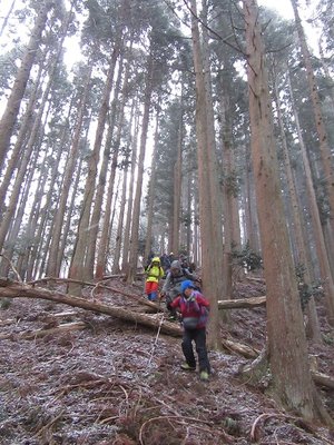 アトラクションとは違ったそうな(^^ゞ