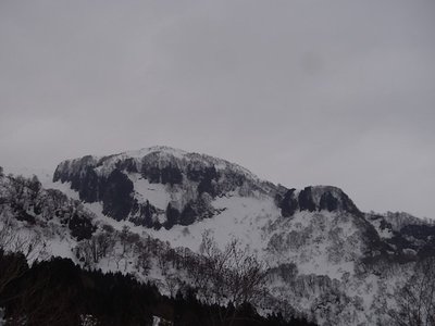 s-P1209458.jpg (64.31 KiB) 閲覧された回数 3761 回 黒々越前甲