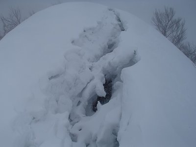 だってここでは寝れません！