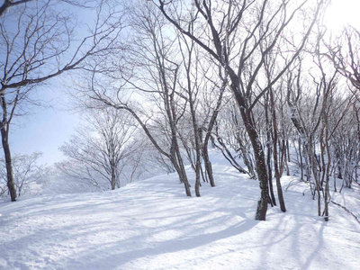 P1310029.jpg (103.64 KiB) 閲覧された回数 8004 回 鞍掛尾根