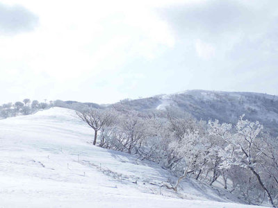 P1310067.jpg (51.16 KiB) 閲覧された回数 7997 回 鞍掛尾根、一番奥が鈴北岳