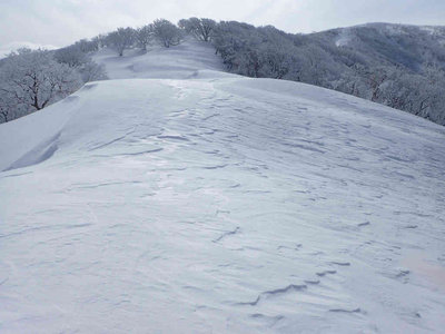 P1310088.jpg (48.73 KiB) 閲覧された回数 8309 回 風紋