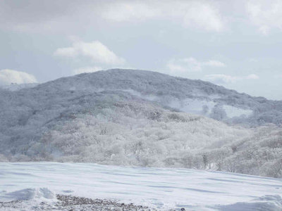 P1310109.jpg (45.15 KiB) 閲覧された回数 8004 回 たどり着けなかった御池テーブルランド