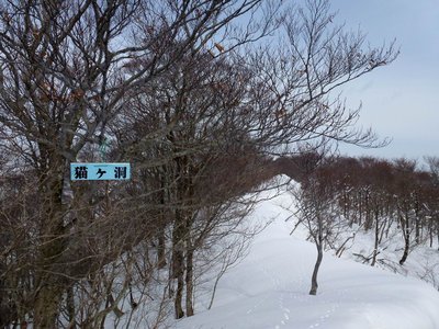 P1090573.JPG (371.22 KiB) 閲覧された回数 30934 回 猫ヶ洞