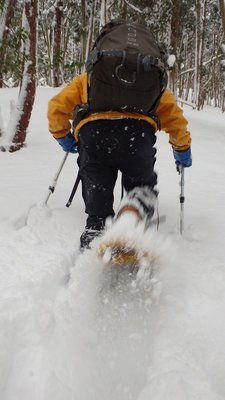 P1282144.jpg (85.62 KiB) 閲覧された回数 11984 回 軽快で力強い兎夢ちゃんのラッセル