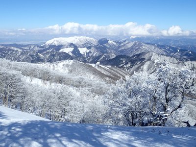 P2040148.JPG (720.48 KiB) 閲覧された回数 8010 回 霊仙山、伊吹山