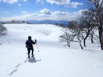 P2040220.JPG (443.61 KiB) 閲覧された回数 7680 回 青のドリーネ