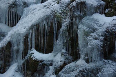 Ca７００くらいの源頭部にて